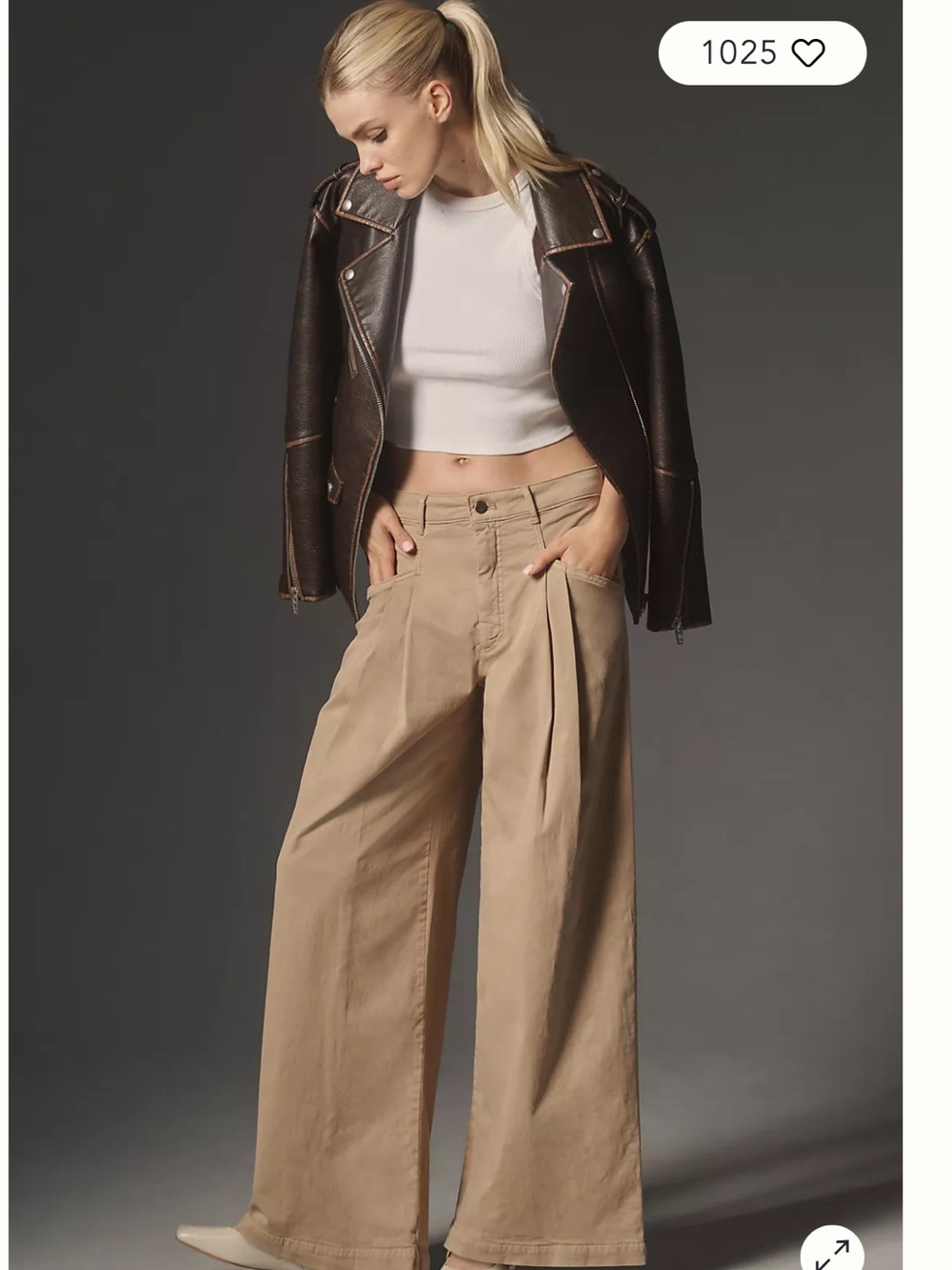 Maeve Oversized Wide-Leg Pleated Chino Pants Size 4